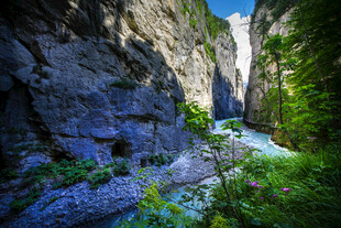 山间峡谷溪流美景