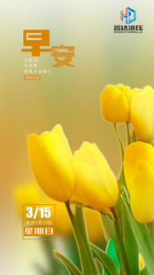 早安 职场语录 黄色郁金香图片