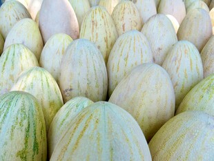 一堆饱满的甜瓜