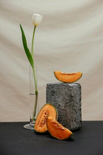 石上瓜片与素雅白郁金香