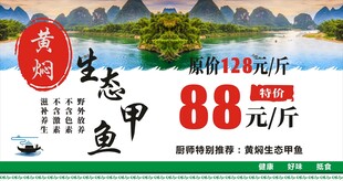 黄河生态甲鱼海报