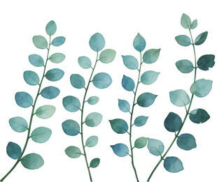 J清新蓝绿叶片水彩插画