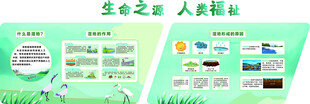 湿地科普