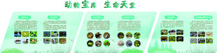 湿地科普宣传