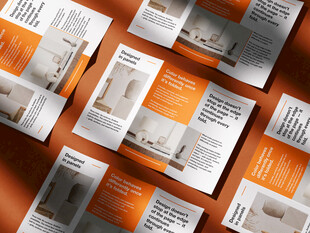 多样宣传册展示样机