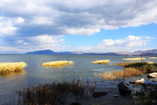 洱海公园