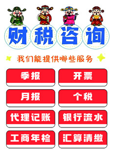 财税咨询服务项目展示