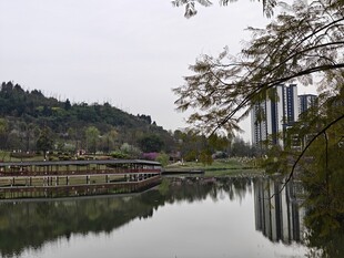 湖畔城市风光 静谧自然景