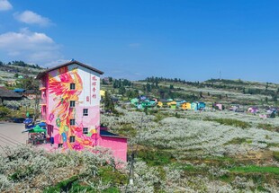 彩色小屋点缀美丽户外