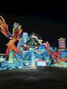 绚丽凤凰主题大型彩灯