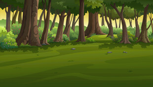 森林中的绿意盎然草地