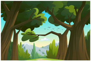 森林中的葱郁树木景观