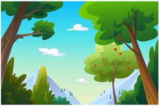 森林中的清新自然风景