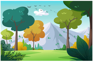 森林中的自然美景