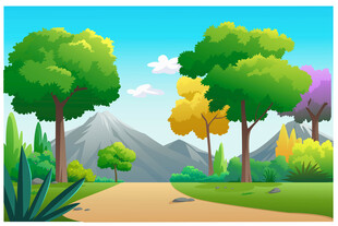 森林中的宁静小道