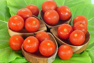 番茄