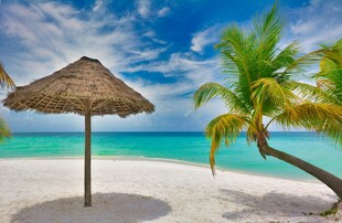热带海滩美景