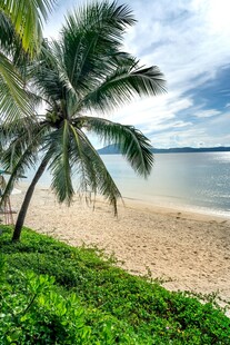 热带海滩椰树风光美景