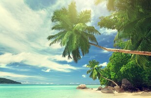 热带海边美景