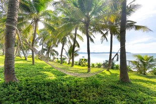 热带椰林海滨风光