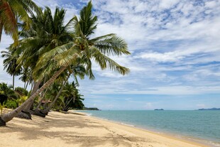 热带海滩椰树美景