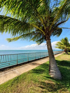 海边椰树旁的美丽景致