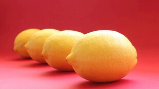 一排鲜黄柠檬摆于红底