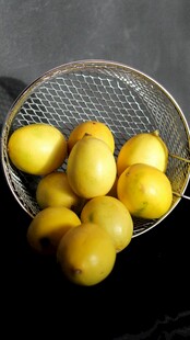 金属筛中的鲜黄圆润柠檬