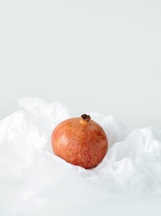雪上的红石榴