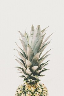 单个菠萝特写