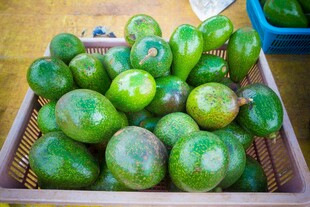 筐中鲜绿芒果待售