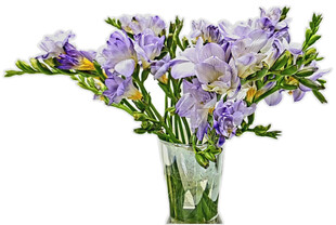 花瓶中的紫色鸢尾花