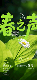 春之声绿叶白花清新画面