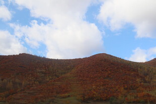 秋日山峦 斑斓山色如画