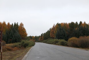 秋日林间公路美景