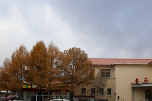 秋日小镇建筑与树木