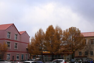 秋日街道旁的多彩建筑