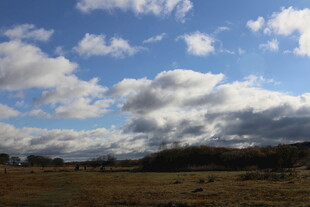 蓝天白云下的广袤原野