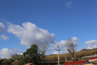 蓝天白云下的乡村景致