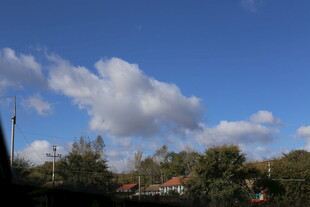 蓝天绿树间的美丽景致