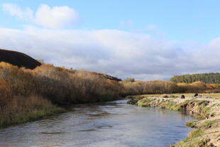 蜿蜒小河边的秋日景致