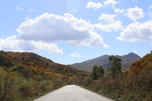 山间公路秋景