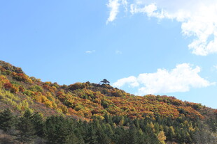秋日斑斓山峦美景