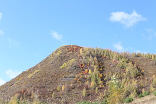 秋日斑斓山坡美景