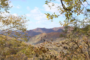 秋日山林间的远山景致