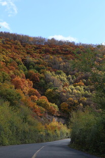 秋日斑斓公路美景