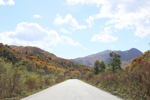 山间公路美景