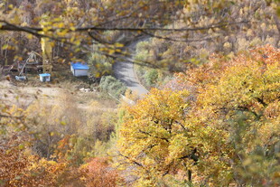 秋日山林间的斑斓景致