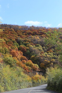 秋日斑斓山路风景