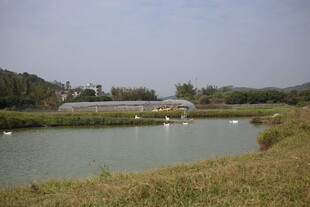 湖畔风光 自然静谧画卷